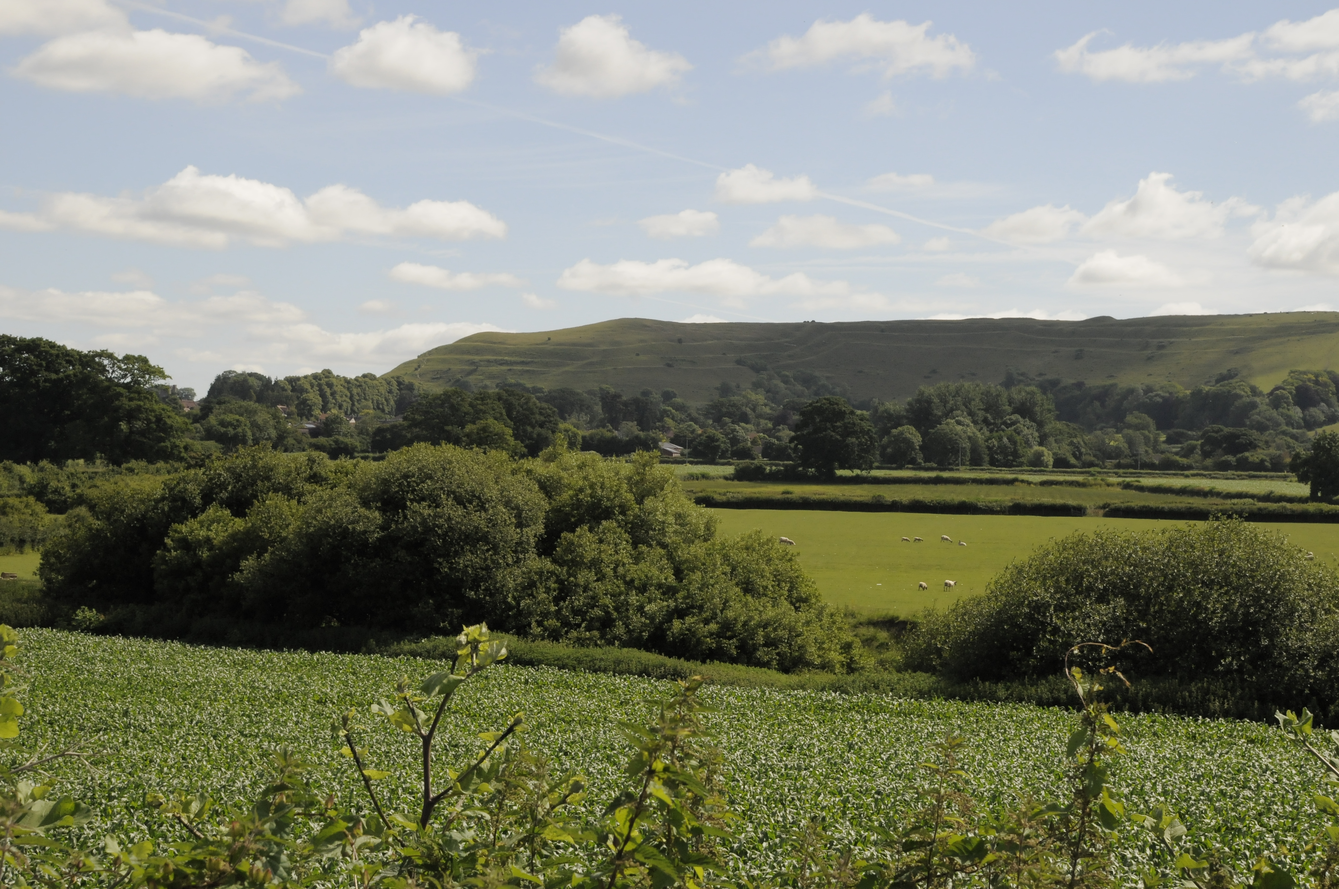 View of Hambledon Hill