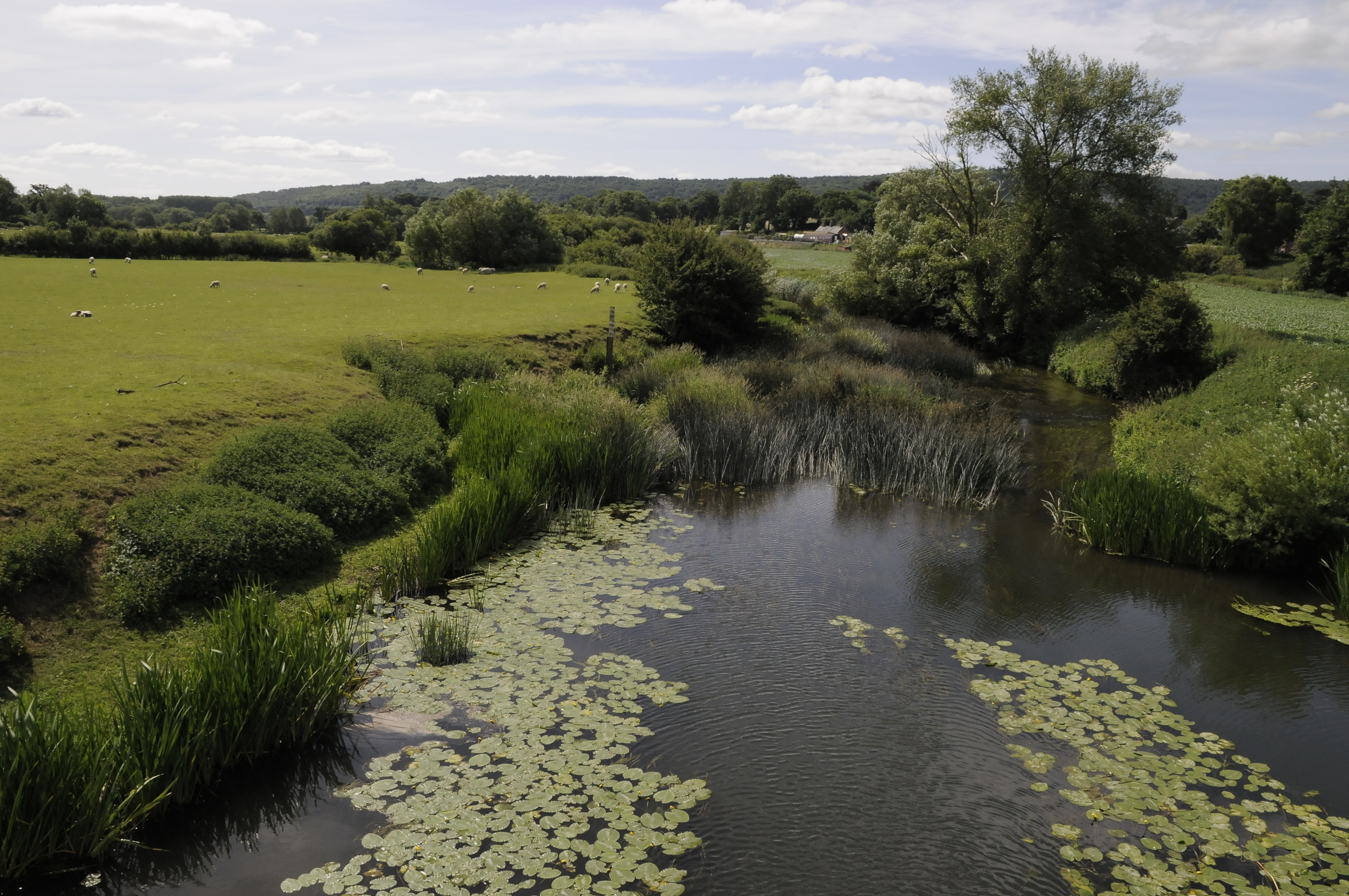 River Stour